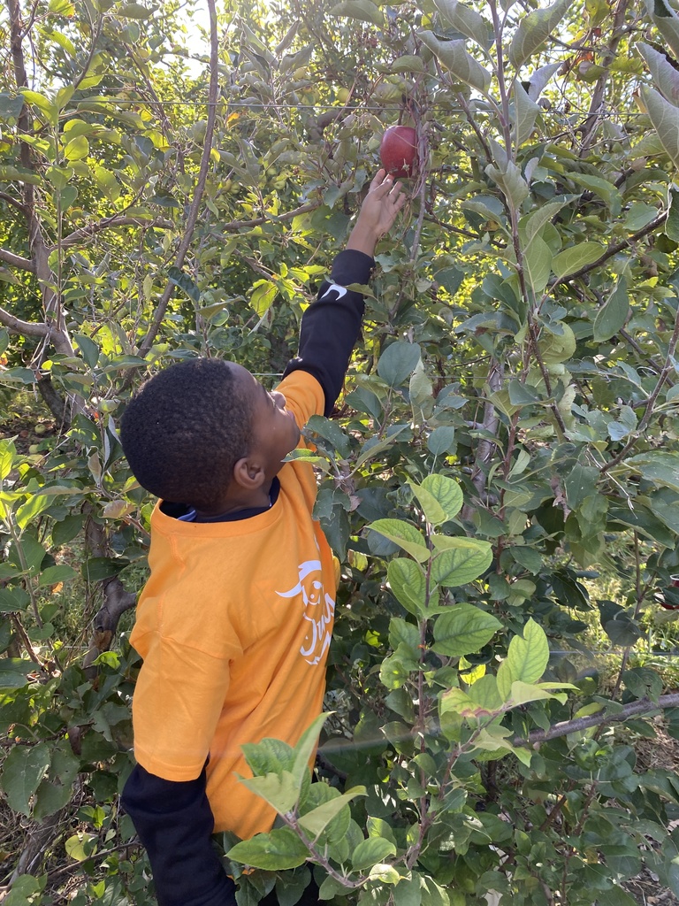 Mrs. King's class at Perry Lowe Orchard