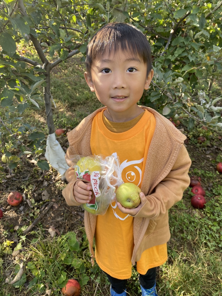 Mrs. King's class at Perry Lowe Orchard