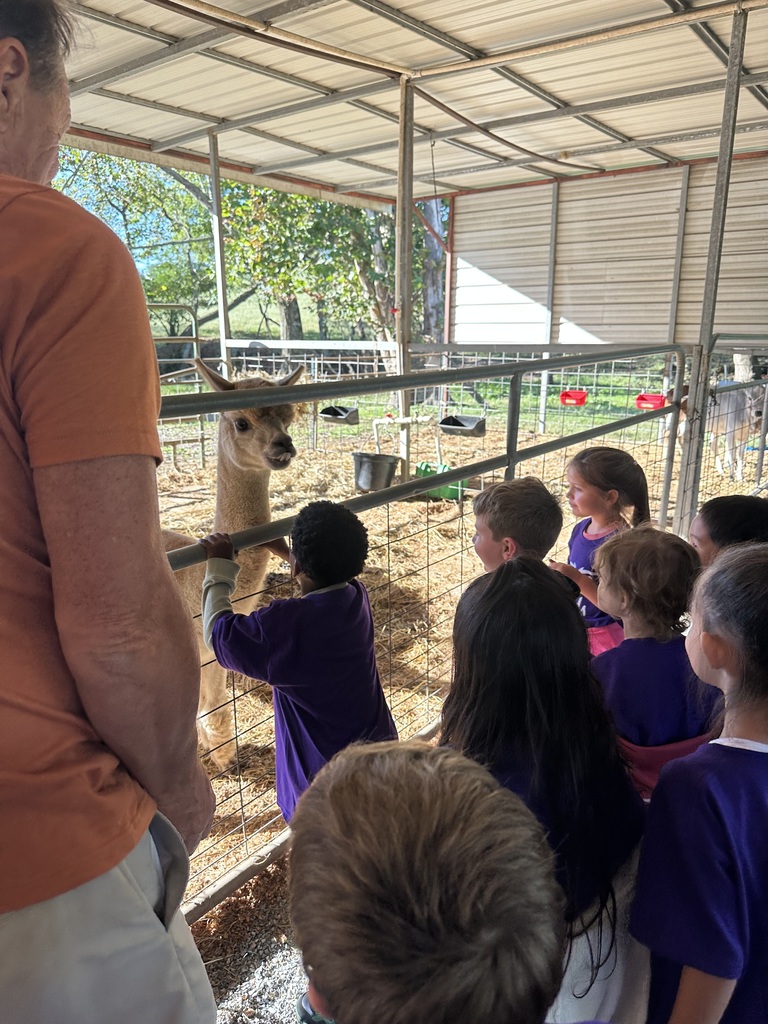 kinder field trip to Johnny Wilson Farm