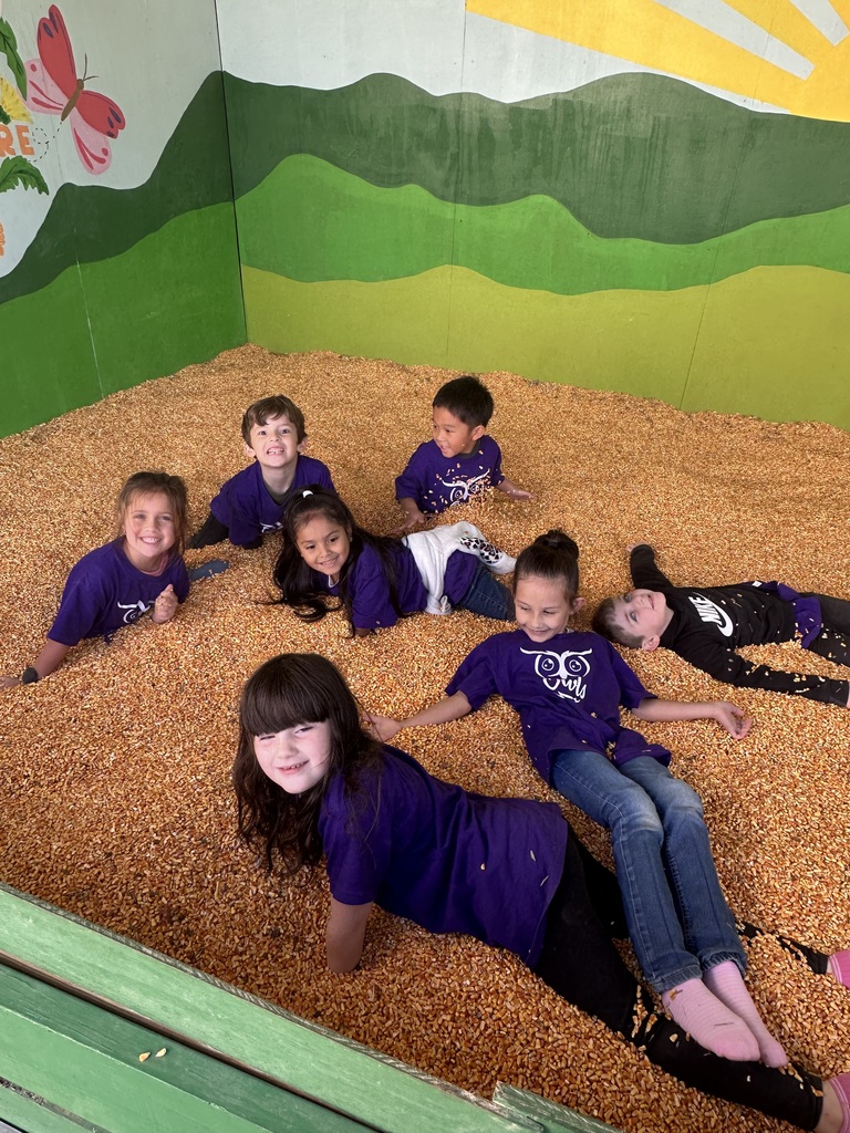 kinder field trip to Johnny Wilson Farm