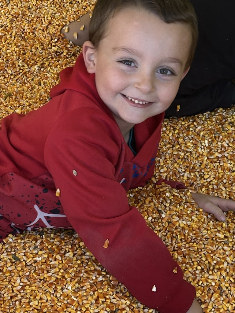 🌾🐄 Kindergarten Adventure at Johnny Wilson Farm! 🐖🌽 Our kindergarteners had the best time exploring Johnny Wilson Farm in Granite Falls