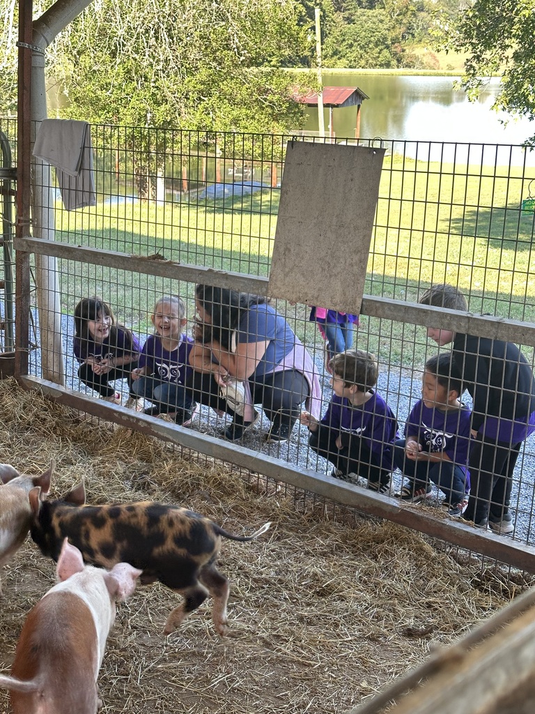 kinder field trip to Johnny Wilson Farm