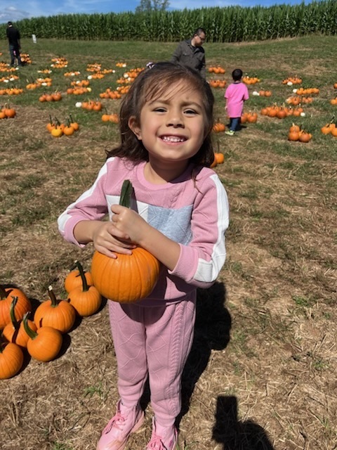 kinder field trip to Johnny Wilson Farm
