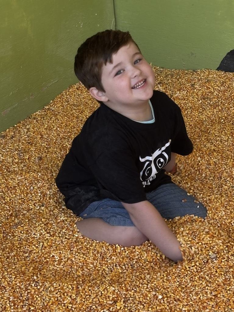 kinder field trip to Johnny Wilson Farm