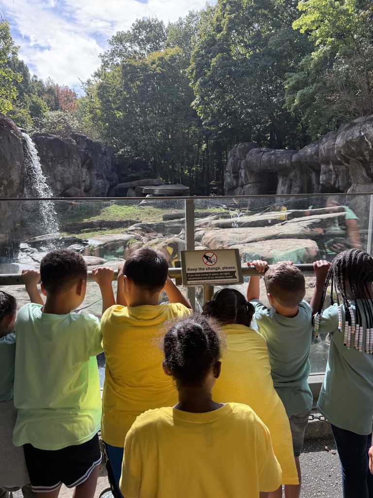 NC Zoo Field Trip