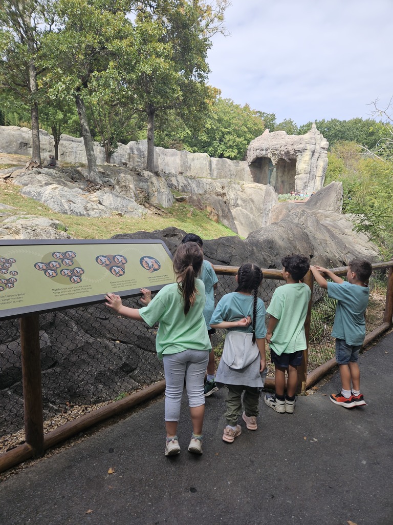NC Zoo Field Trip