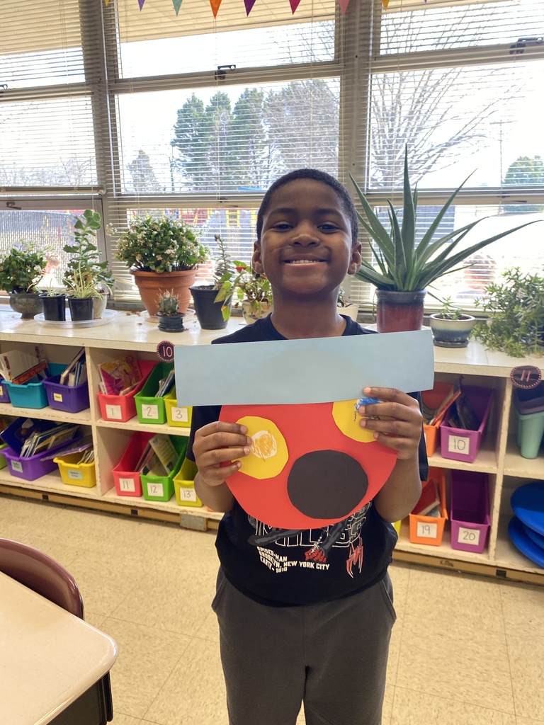 exploring 2D shapes in 1st grade