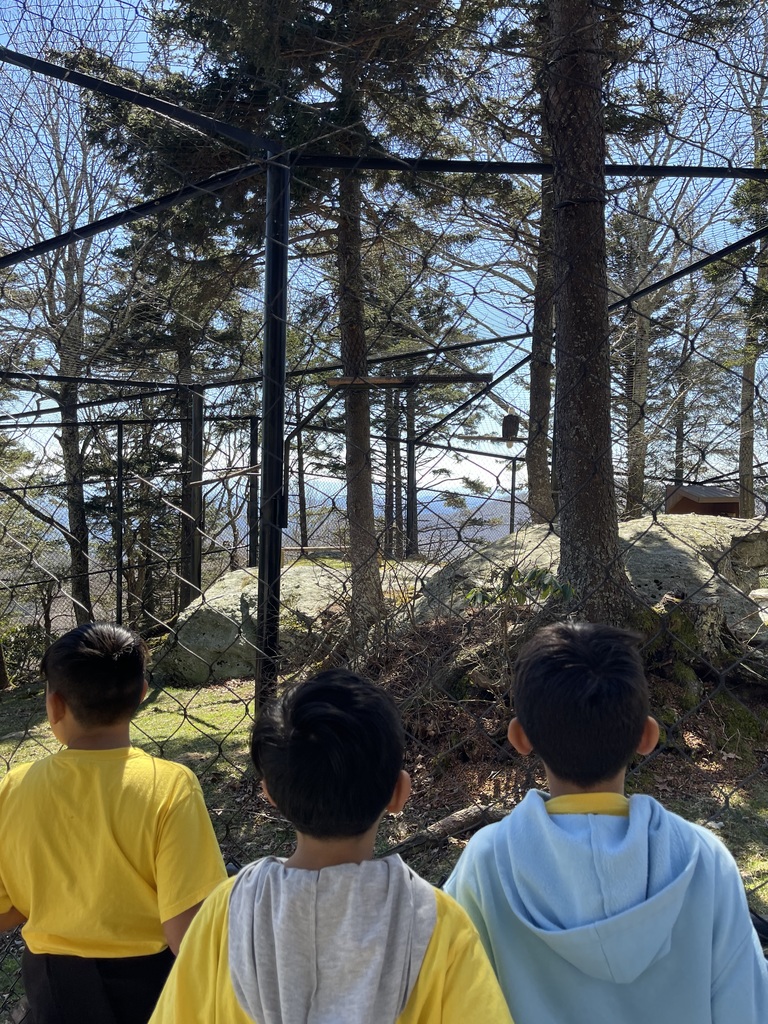Monday was an unforgettable day for our 3rd graders as they traveled to Grandfather Mountain for an exciting field trip! ⛰️  Students had the opportunity to explore one of North Carolina’s most beautiful natural landmarks and take in the breathtaking views from the famous Mile High Swinging Bridge. For many students, it was their first time experiencing such incredible mountain scenery!  A big thank you to our teachers, staff, and parents who helped make this day possible! 💙