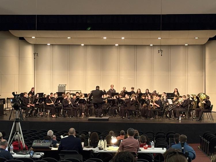 DHS/NCHS band have their MPA performance