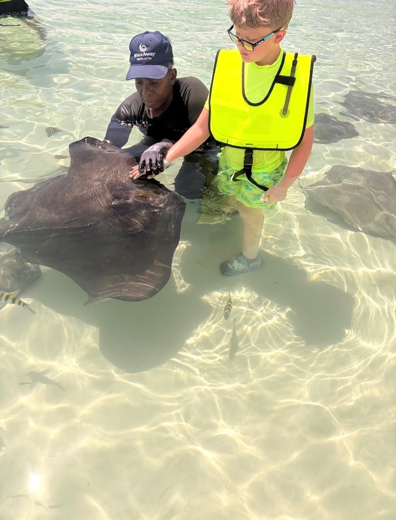 Swimming w stingrays in the Caribbean!