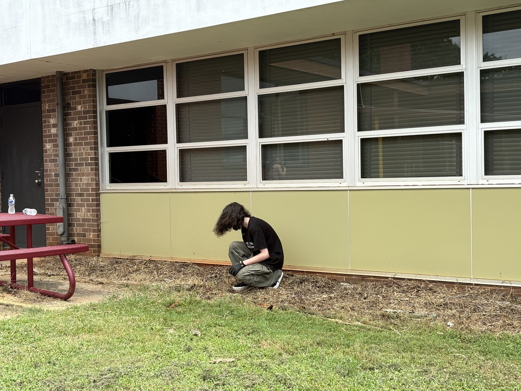 Harrison cleaning up weeds