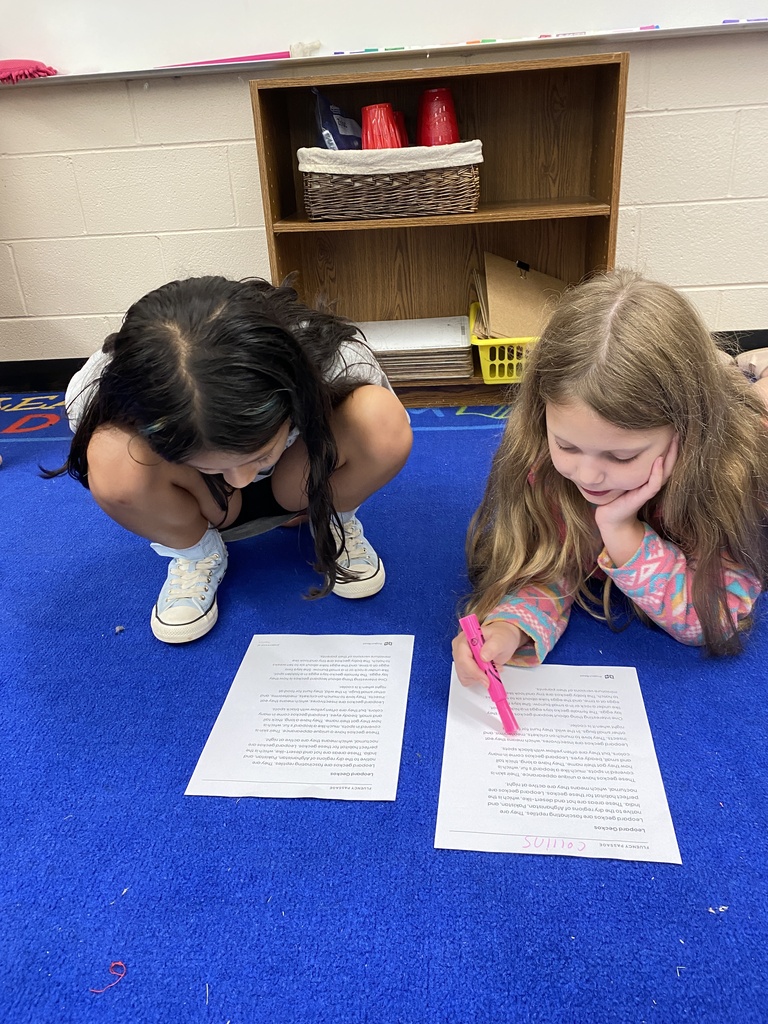 learning about their class pet