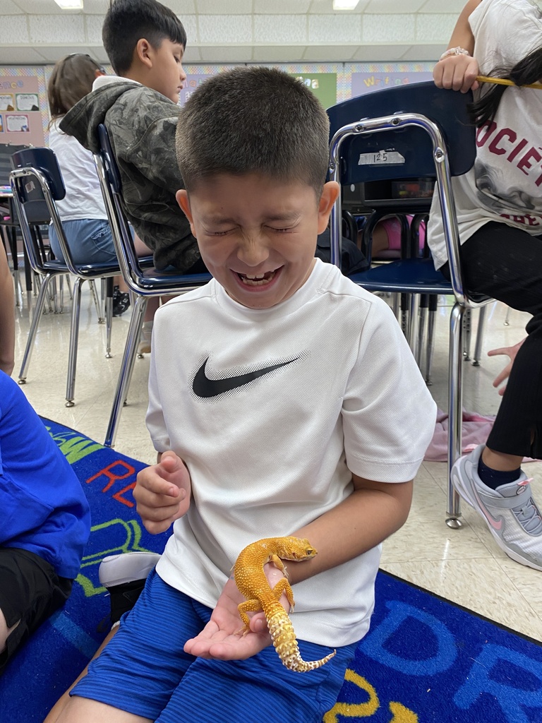learning about their class pet