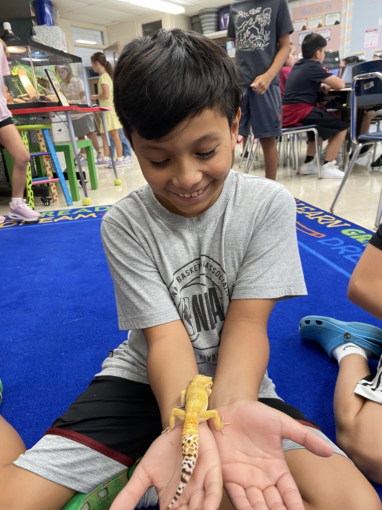 learning about their class pet