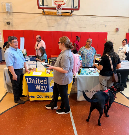 Wellness Fair at South Newton