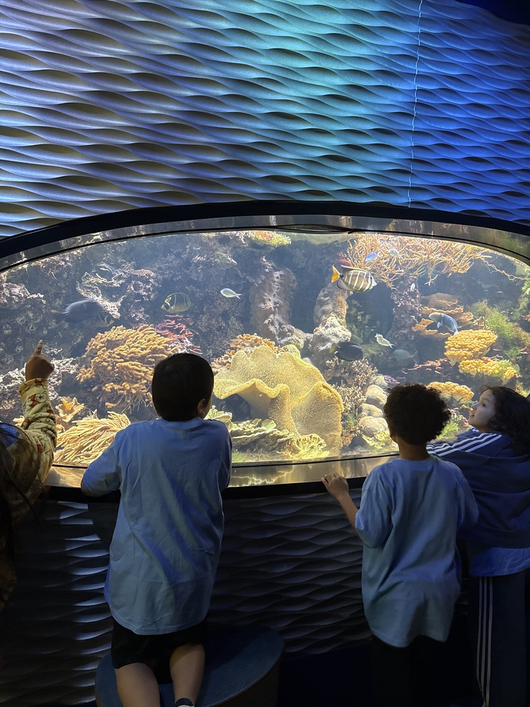 Discovery Place, Charlotte