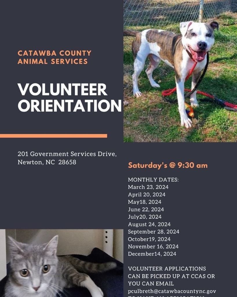 Catawba County Animal Services Volunteer Orientation