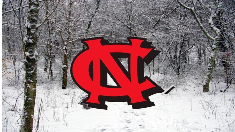 winter NC logo