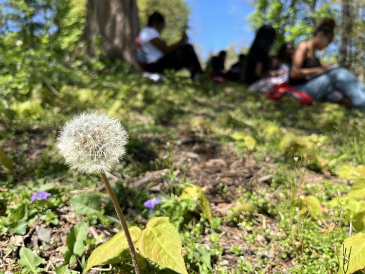 Spanish Class on the nature Trail 