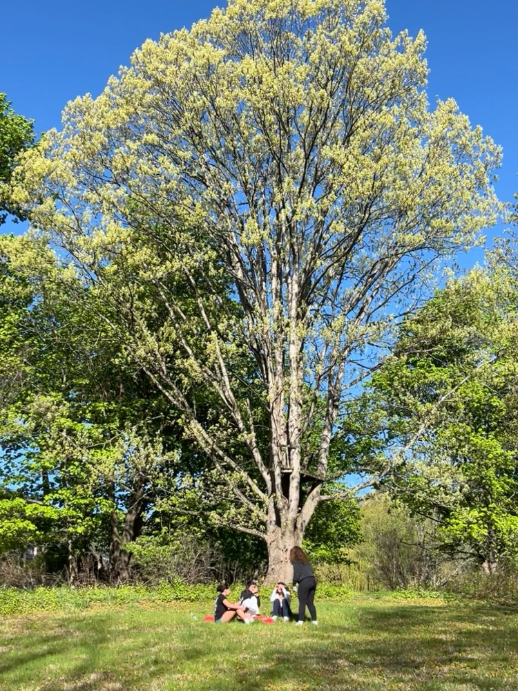 Spanish Class on the nature Trail 