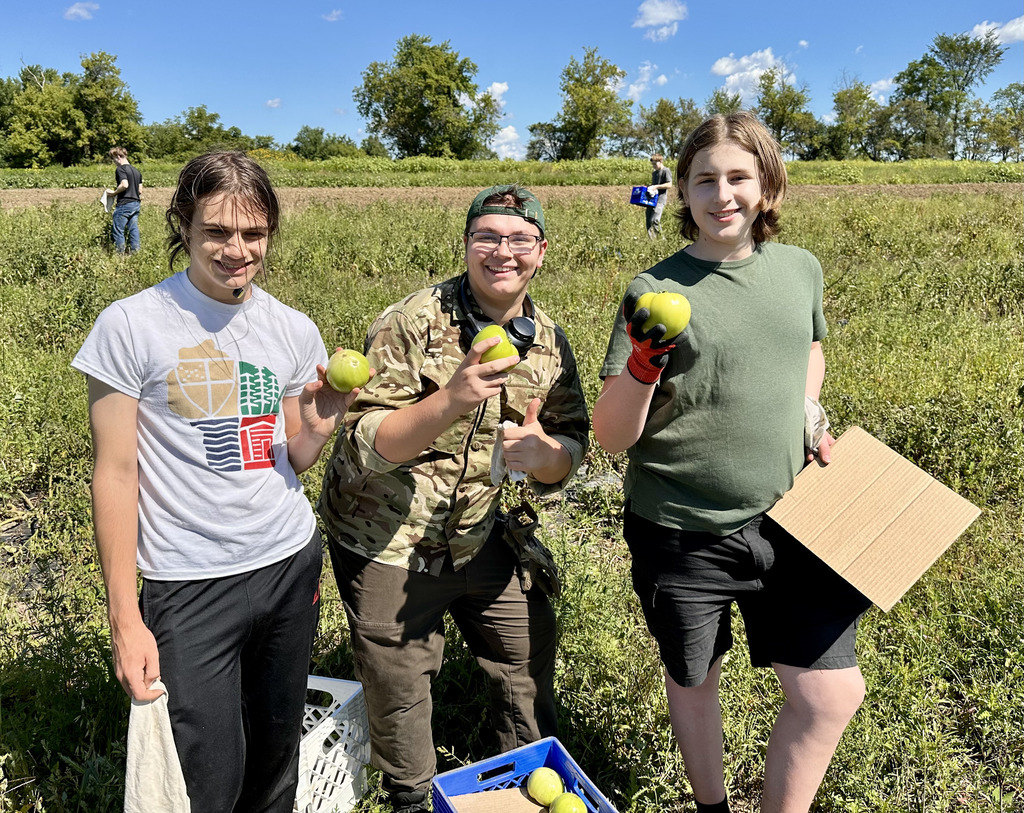 three students picking apples