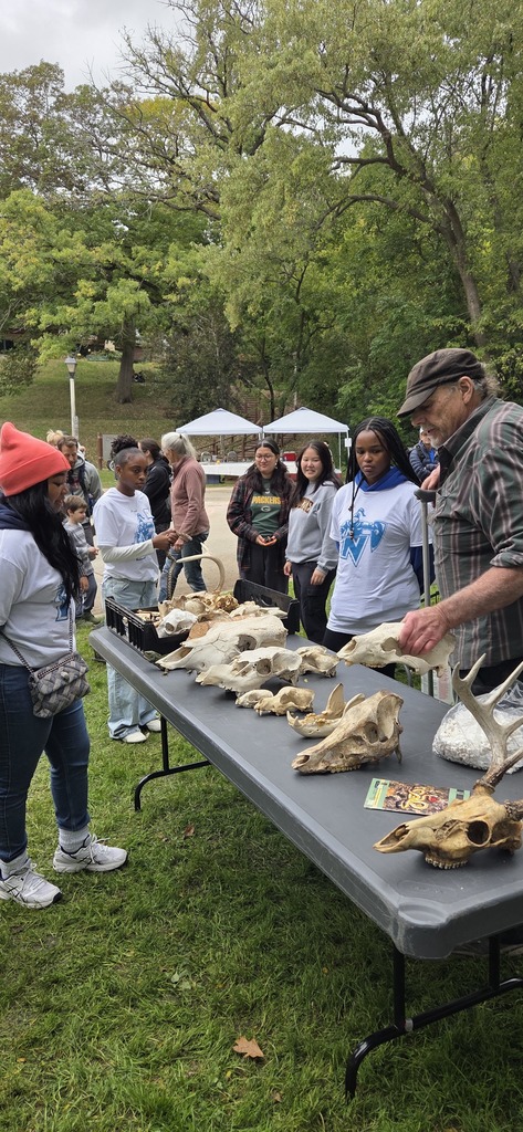 people looking at fossils