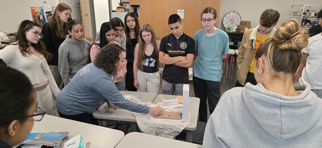 a picture of a nurse showing students how to place an iv