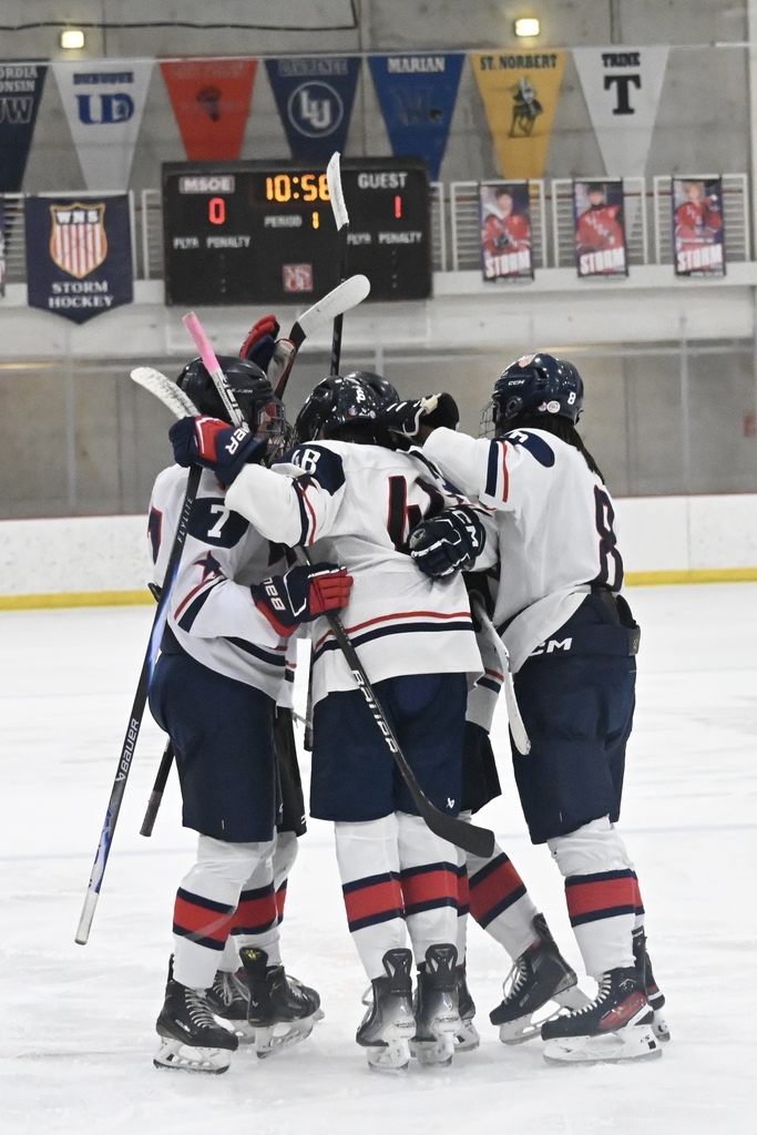 a picture of hockey players celebrating