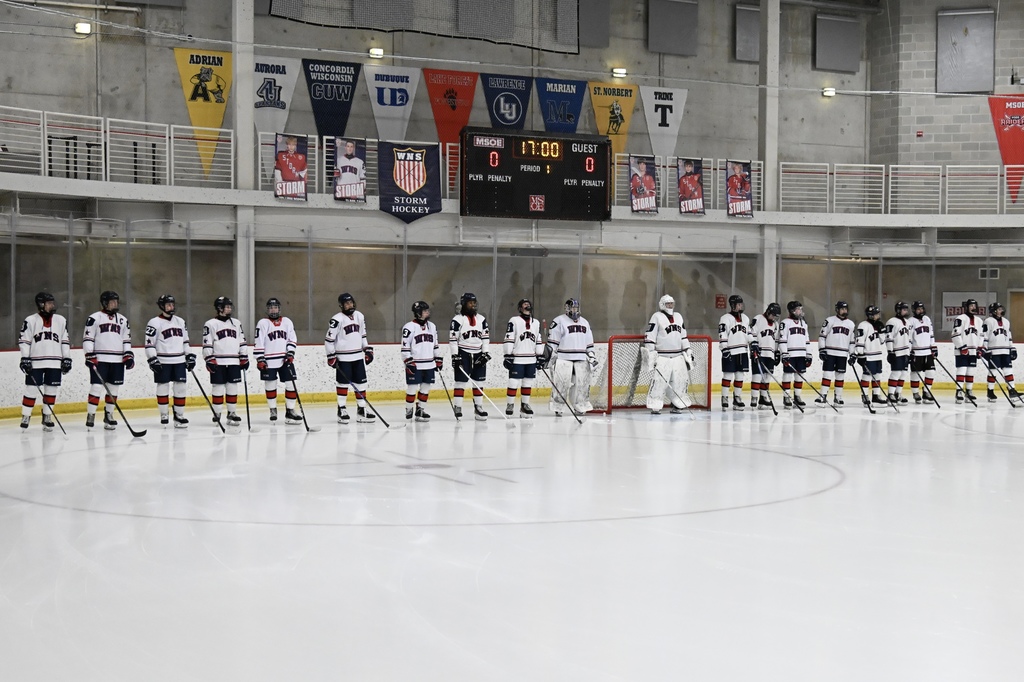 a picture of hockey players standing