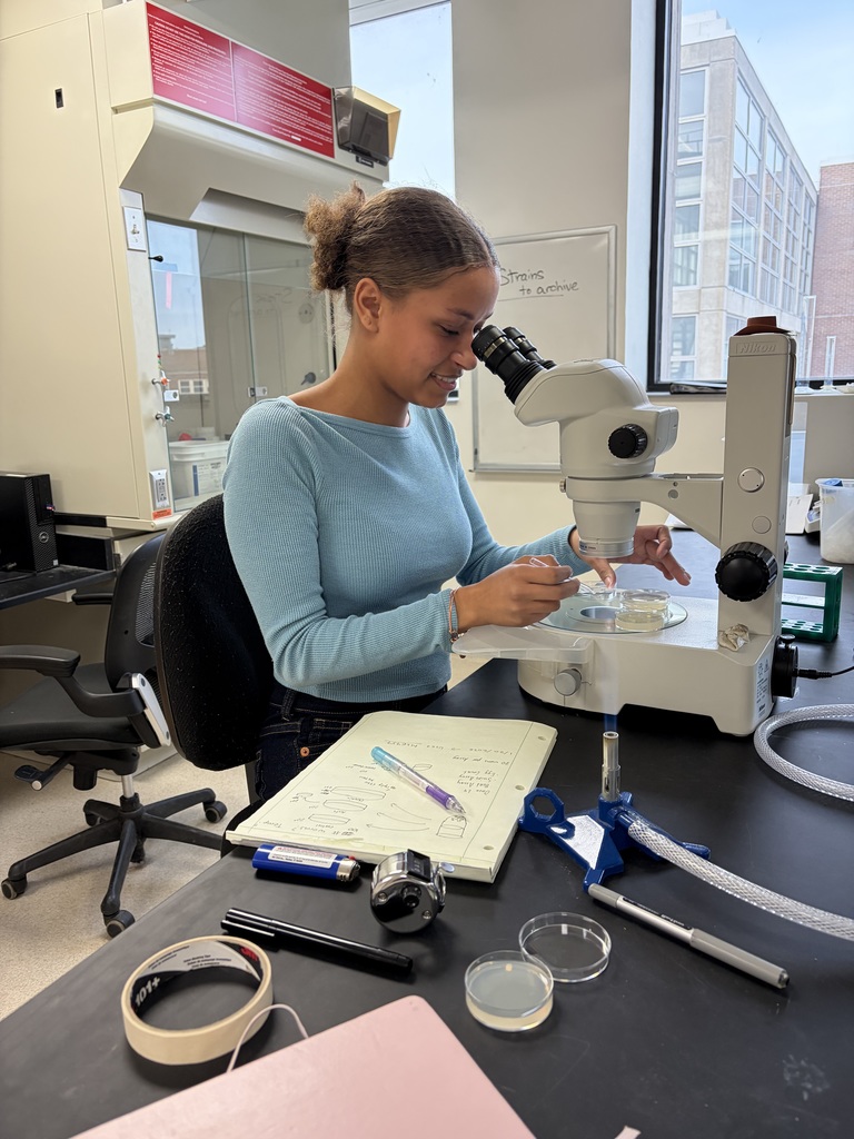 A woman is in a lab, using a microscope to examine a slide while seated at a desk.