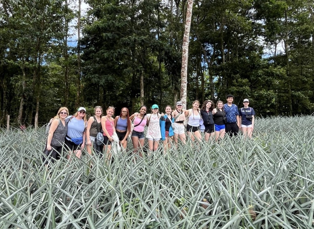 A group of people stands in a pineapple field with green trees in the background.