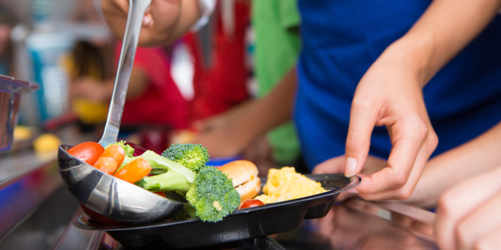 Stock image: school lunch