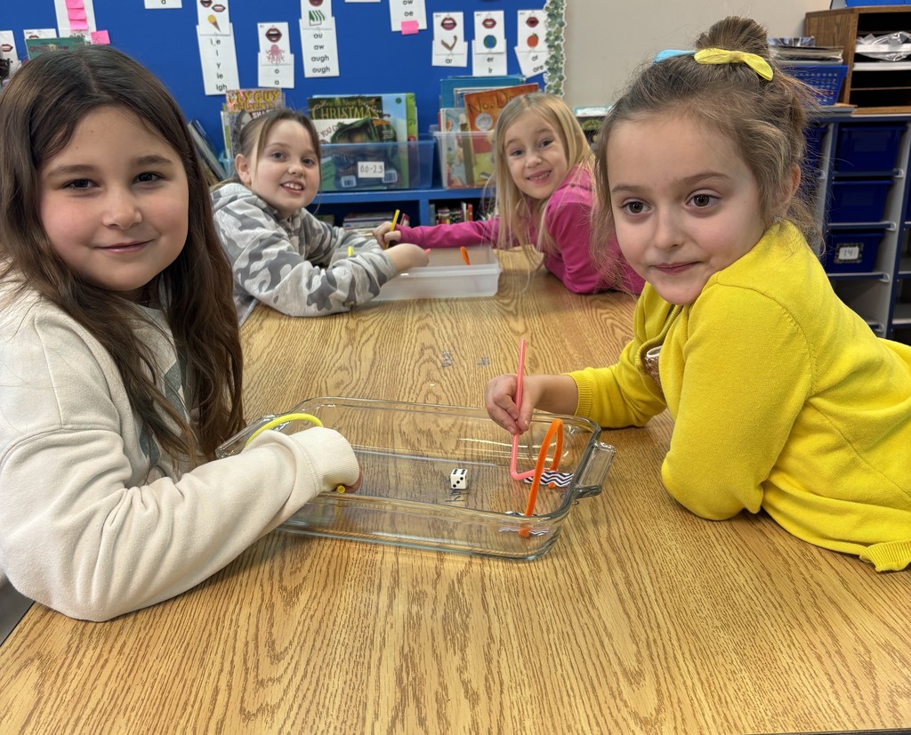 NPS Winter Olympics 2026