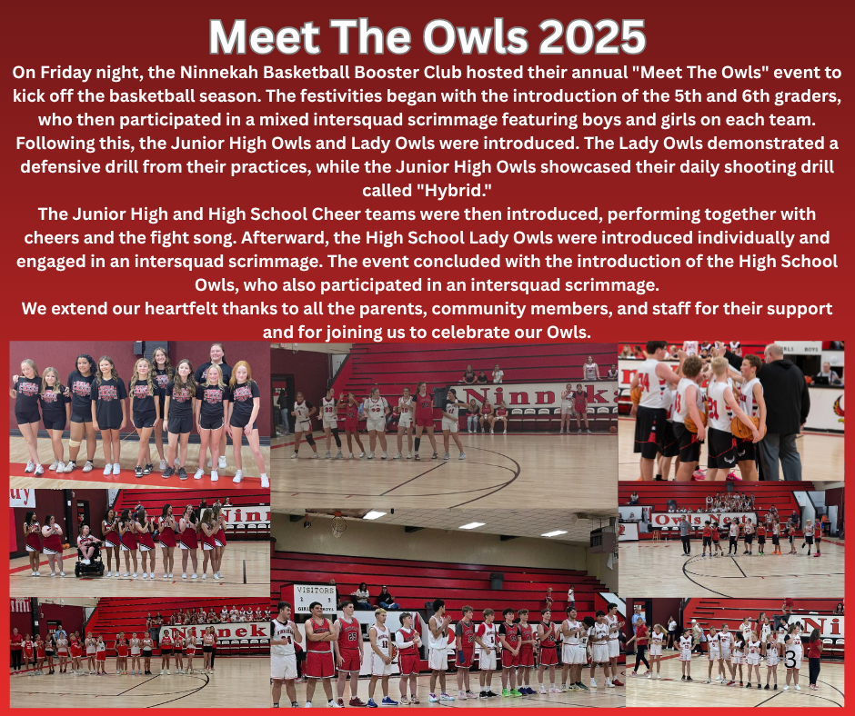 Meet the Owls
