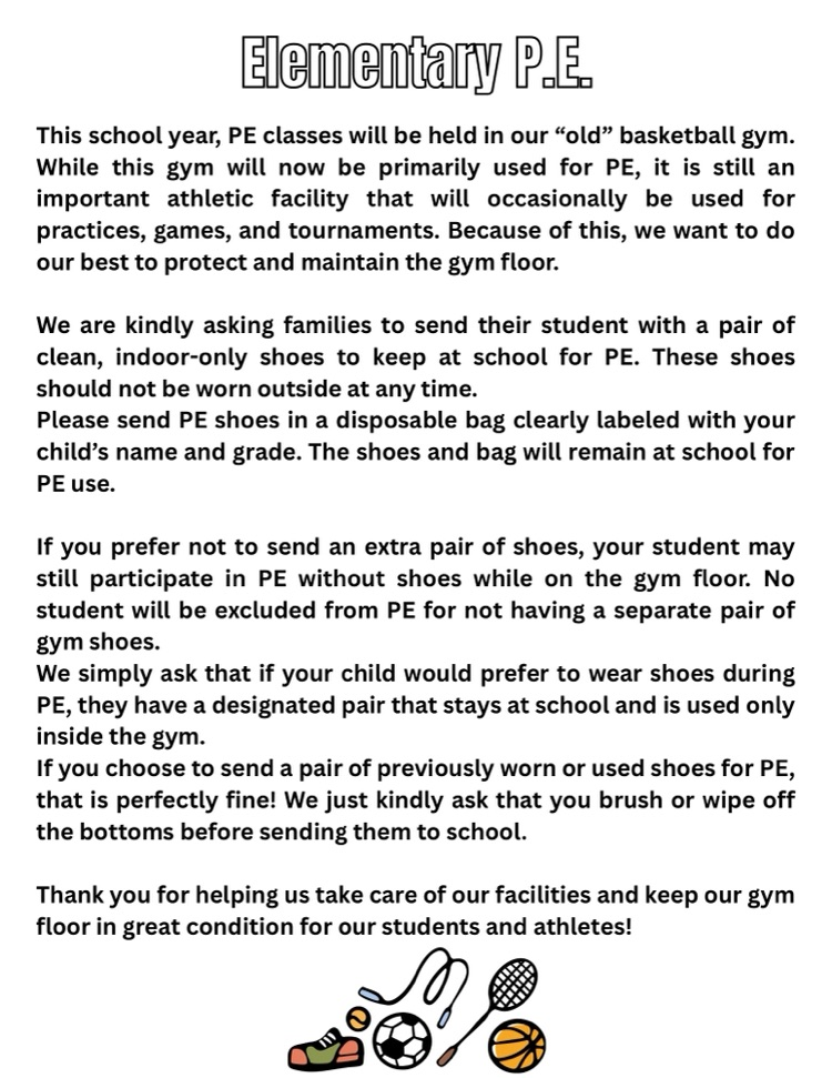 Elementary PE shoes