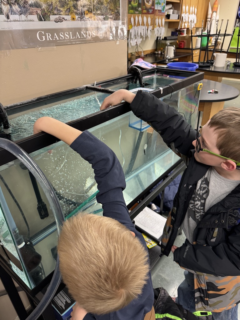 Student checking water quality