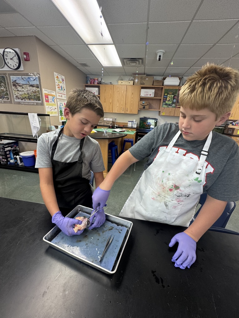 SOAR Students dissecting an eye