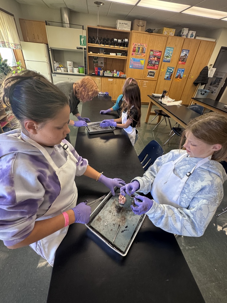 SOAR students dissecting an eye