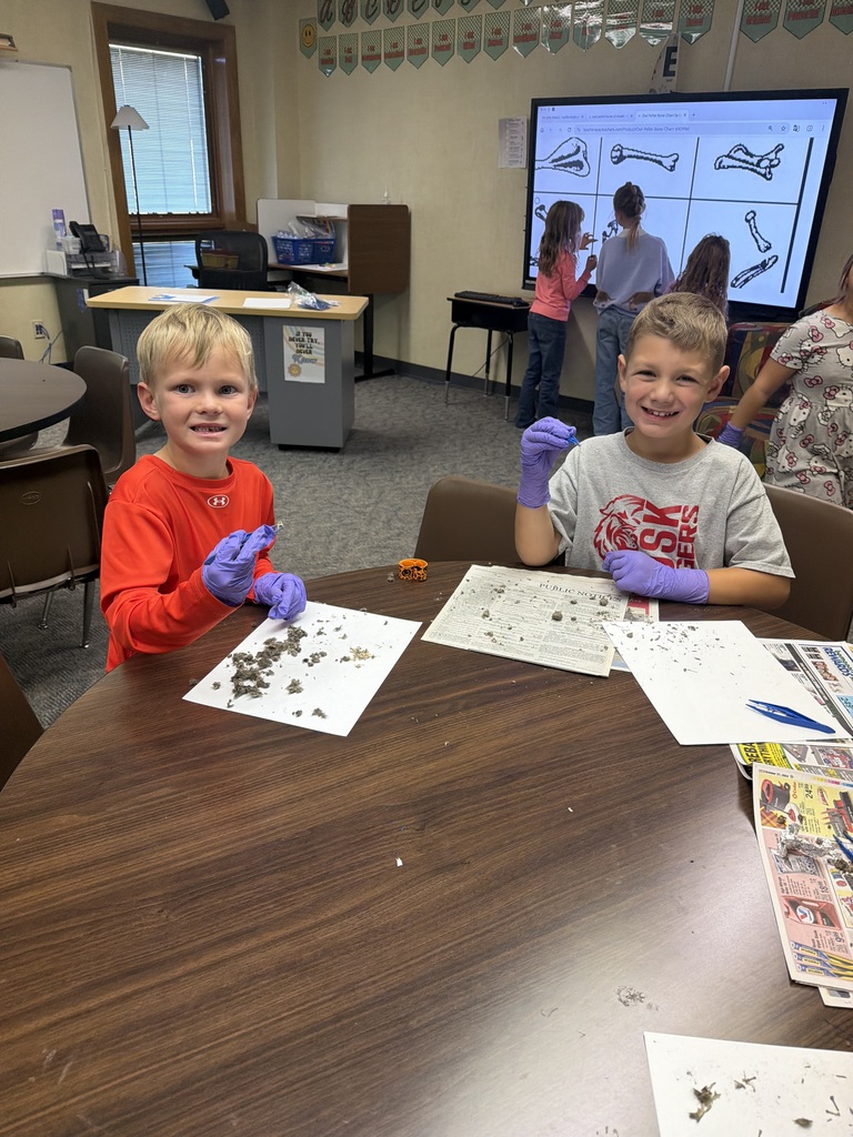 Owl pellets