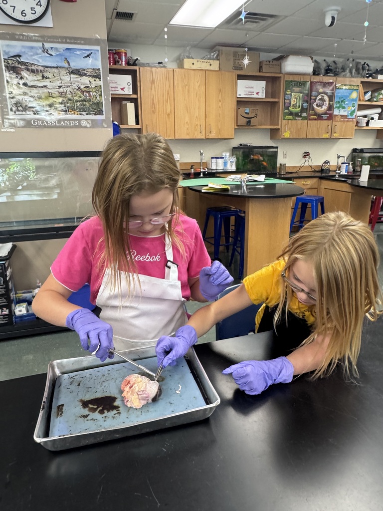 SOAR Students dissecting and eye