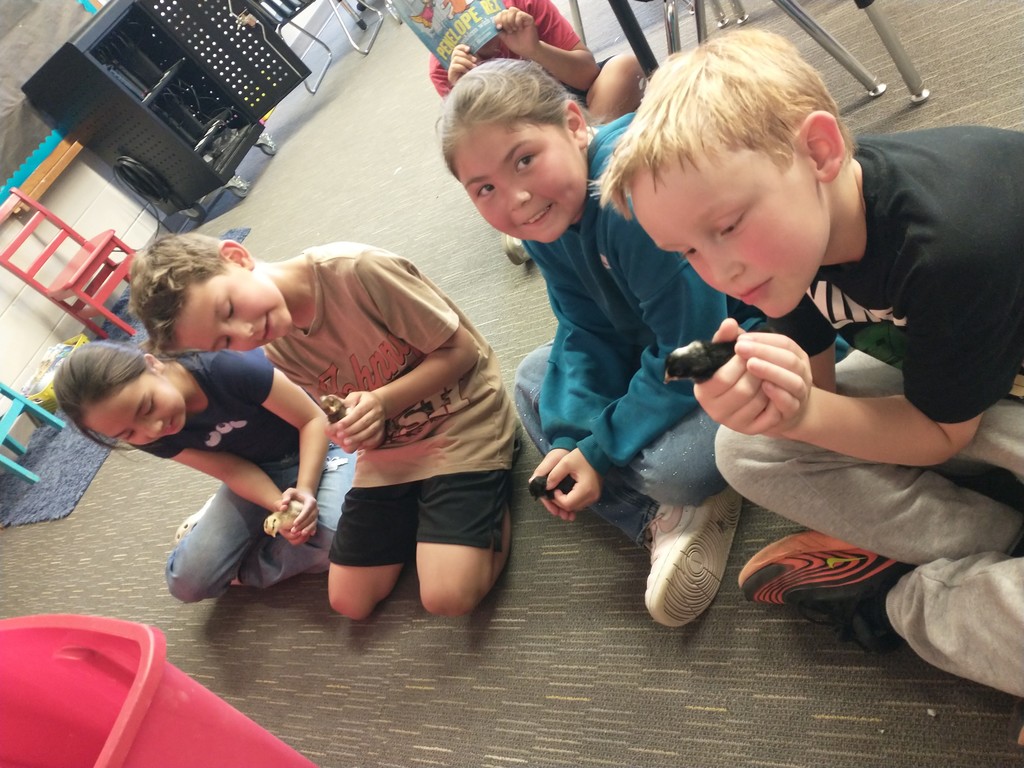 student holding chick