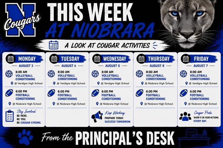 August 3-7 activities