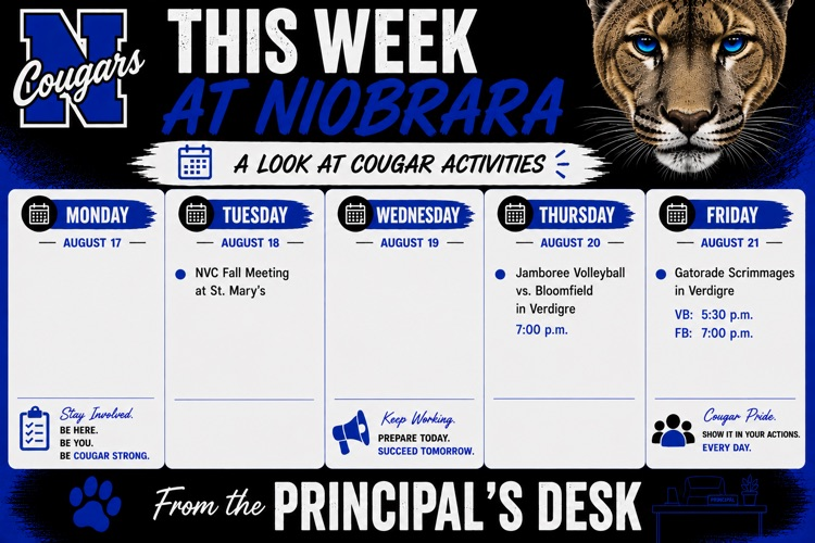 Aug 17-21 Activities