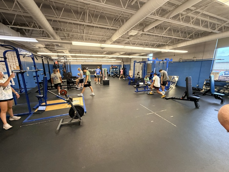 weights