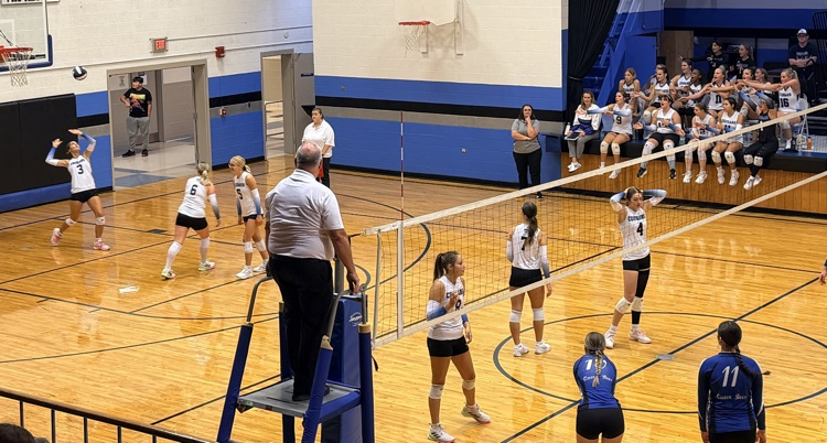 Lady Cougars
