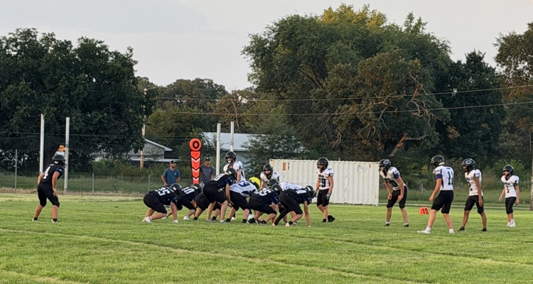 Cougar fball