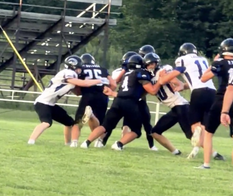 Cougar fball