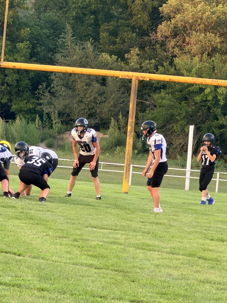Cougar Fball