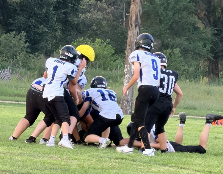 Cougar Fball 