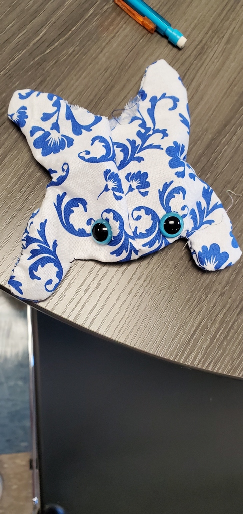 frog